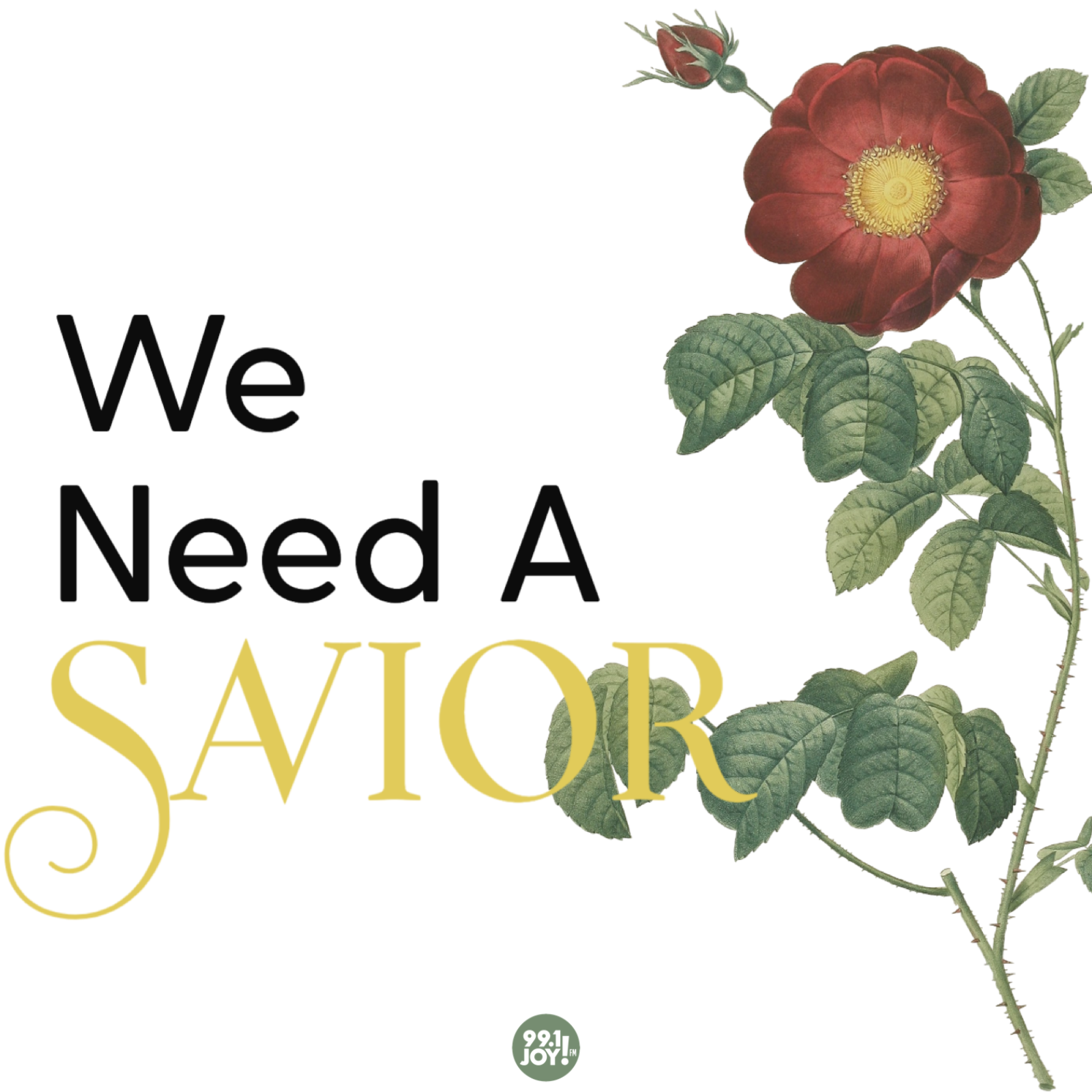 We Need A Savior