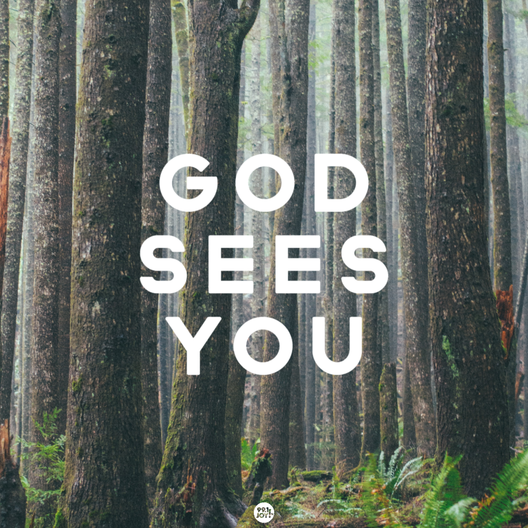God Sees You