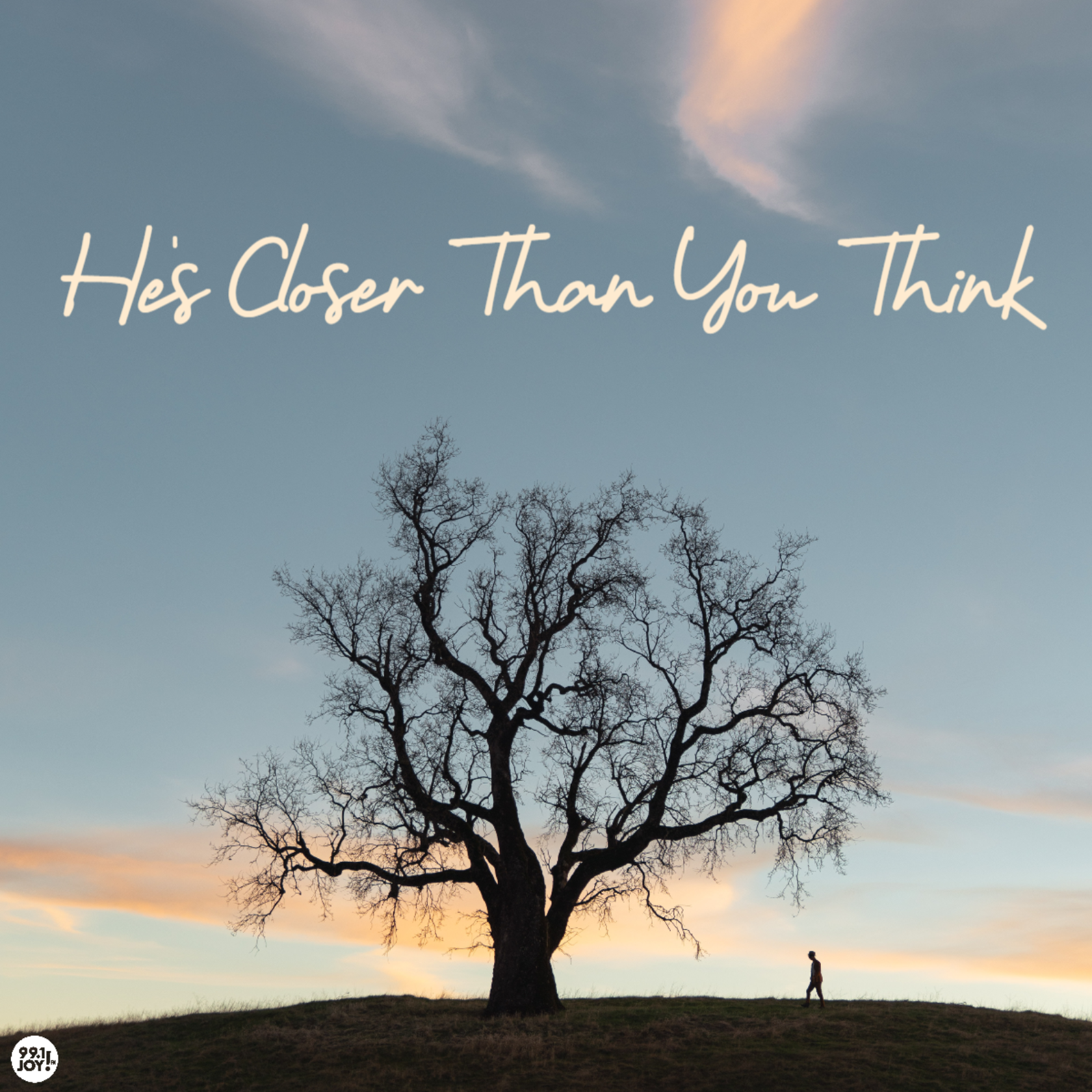 Zonamaeee: It's Closer Than You Think