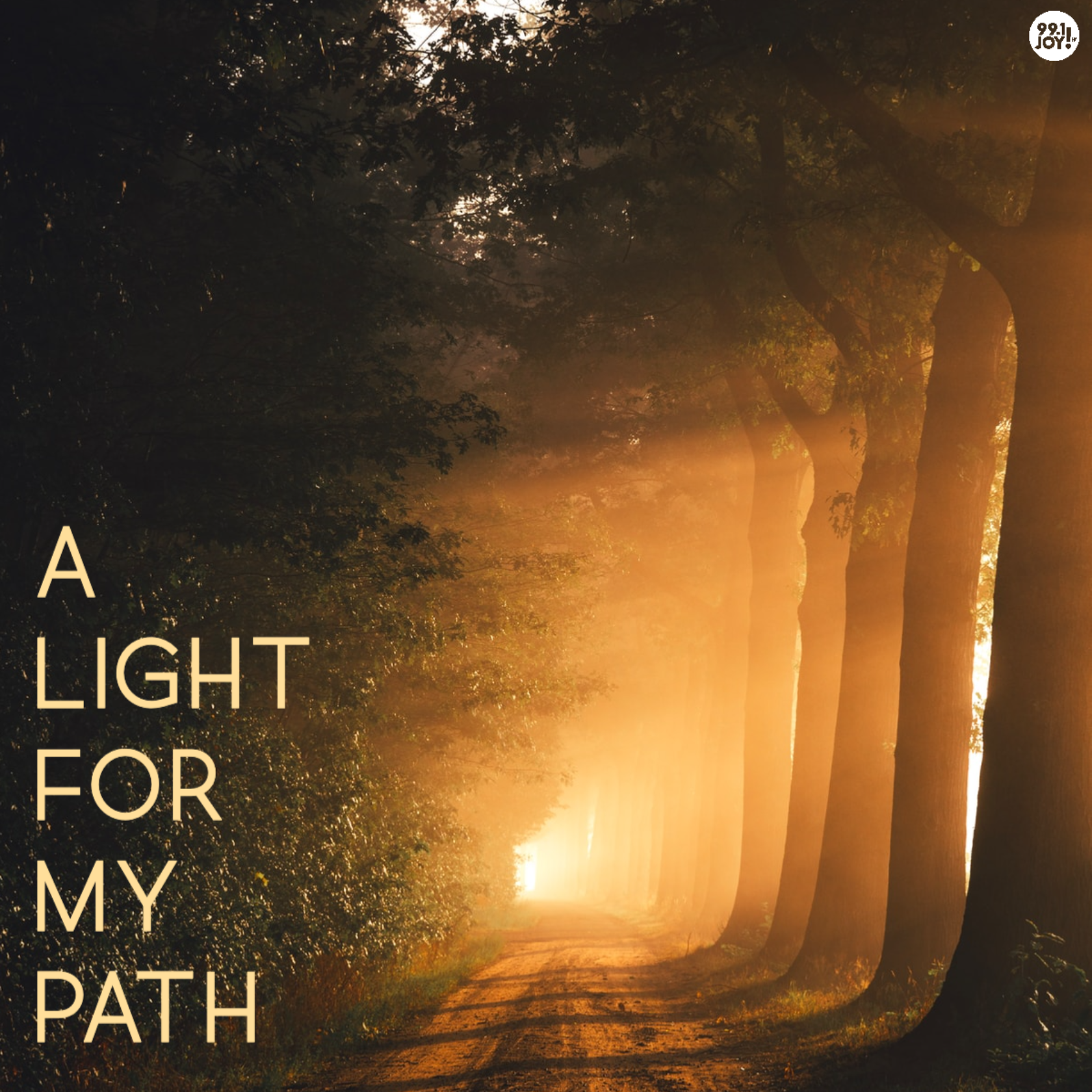 A Light For My Path