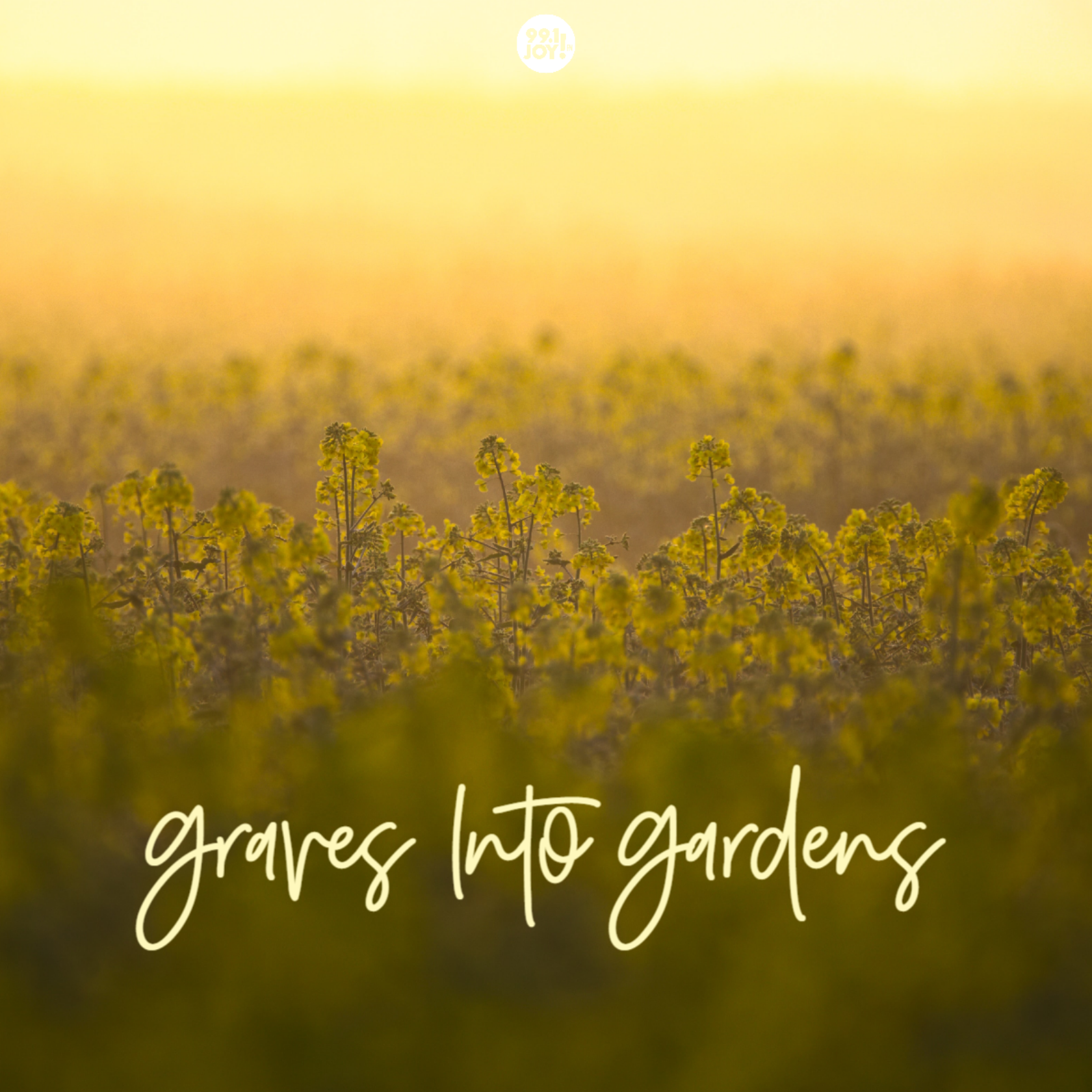 Graves Into Gardens JOY FM JOY FM