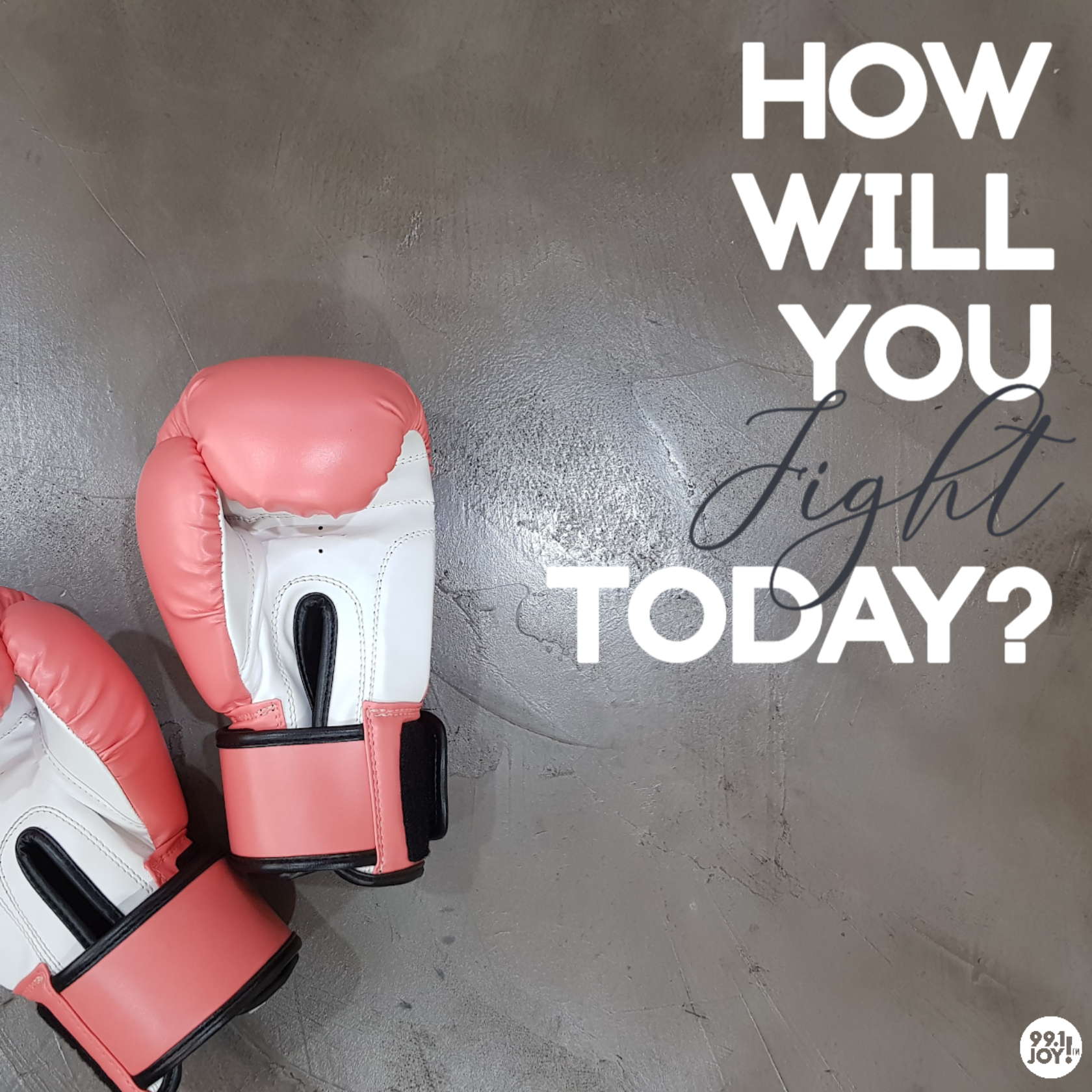 How Will You Fight Today?