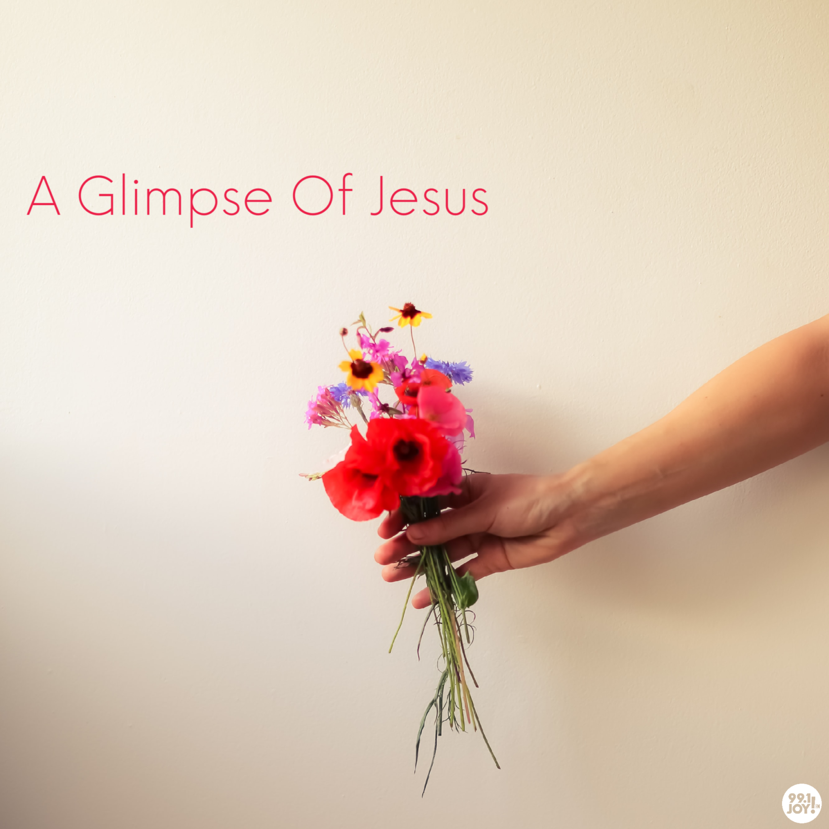 A Glimpse Of Jesus