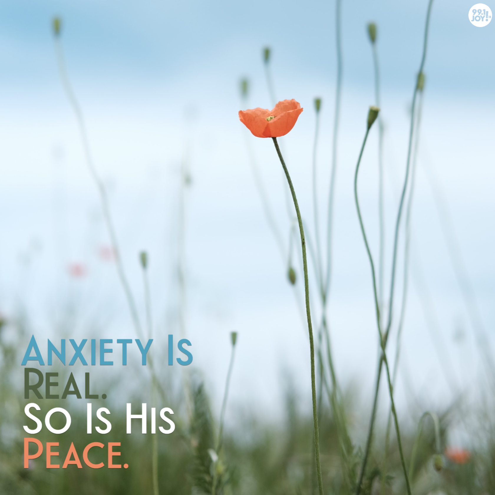 Anxiety Is Real. So Is His Peace.