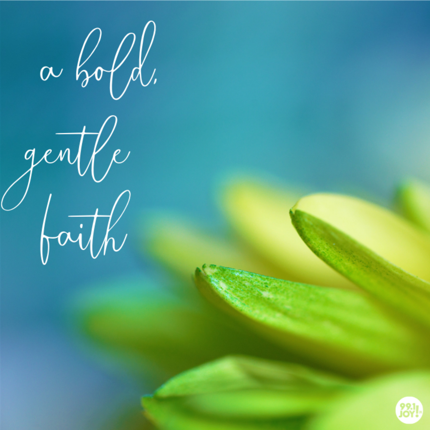 A Bold, Gentle Faith