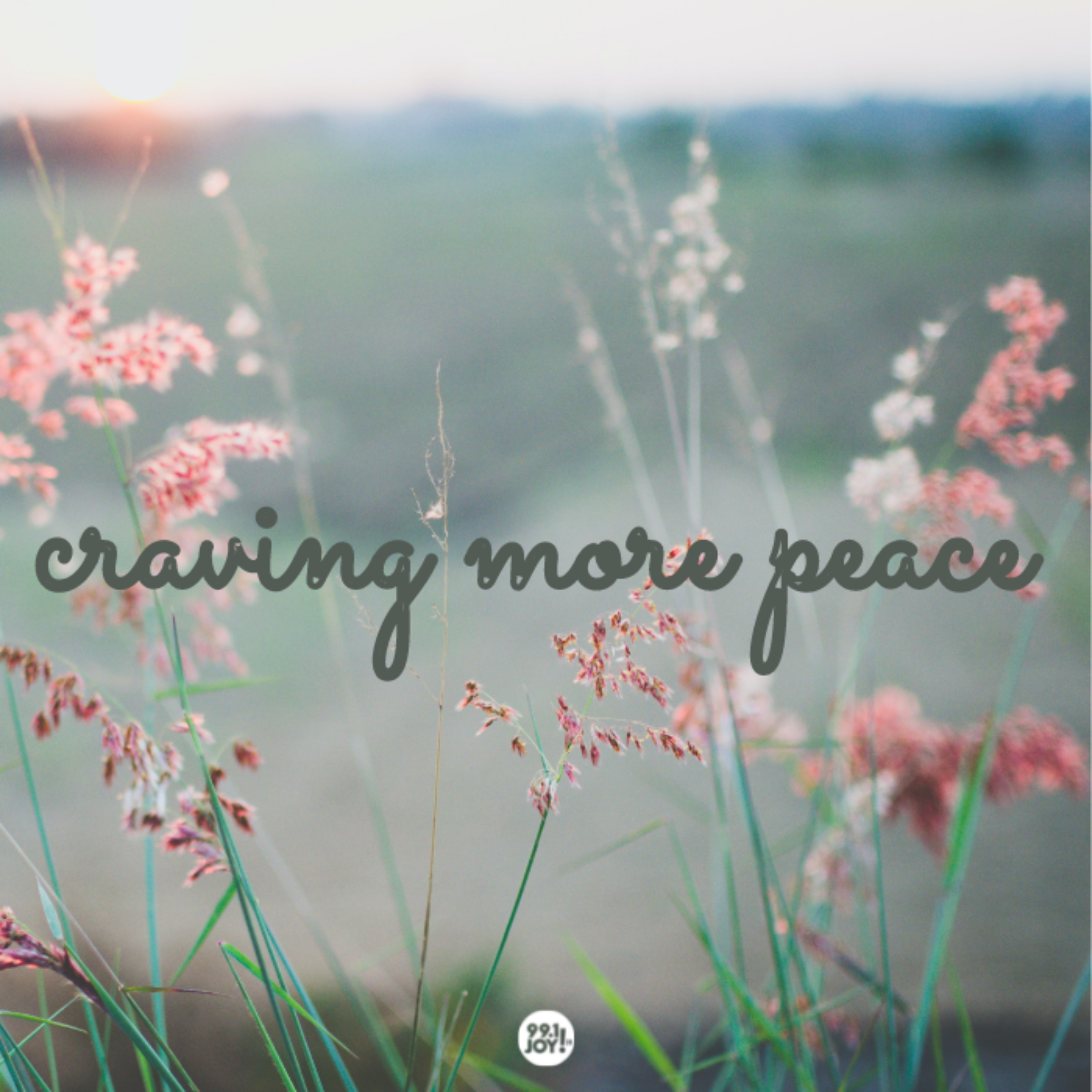 Craving More Peace