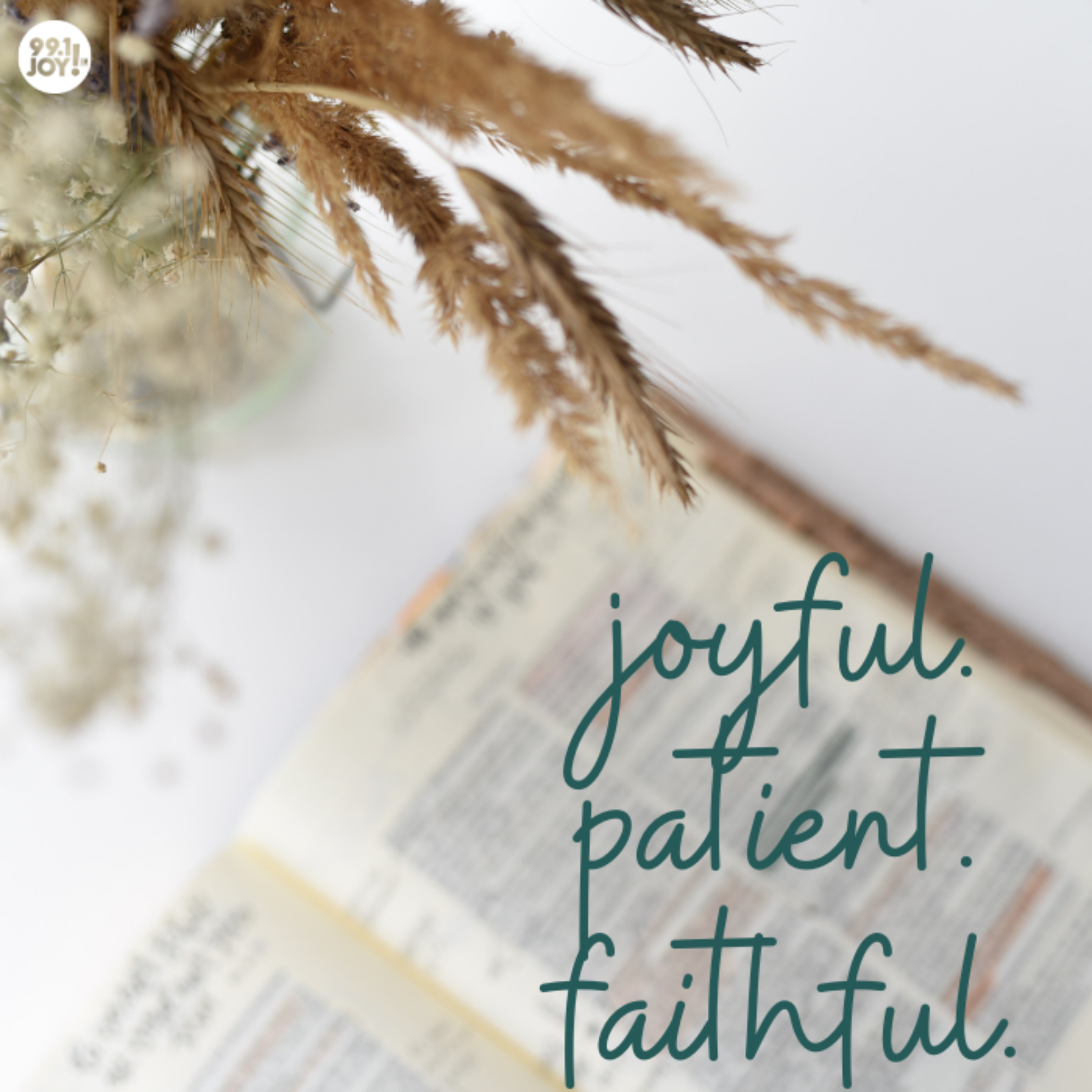 joyful. patient. faithful.
