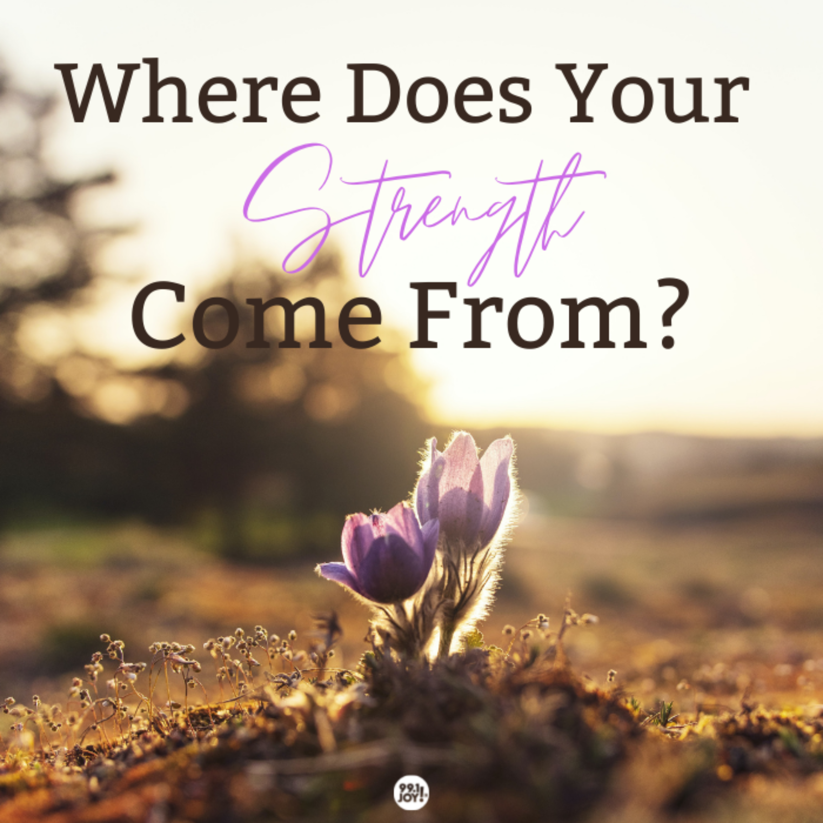 Where Does Your Strength Come From?