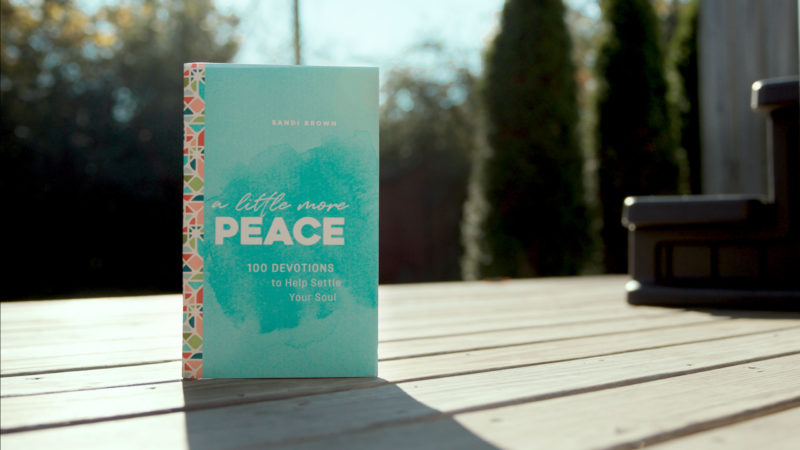 A Little More Peace | 100 Devotions to Help Settle Your Soul