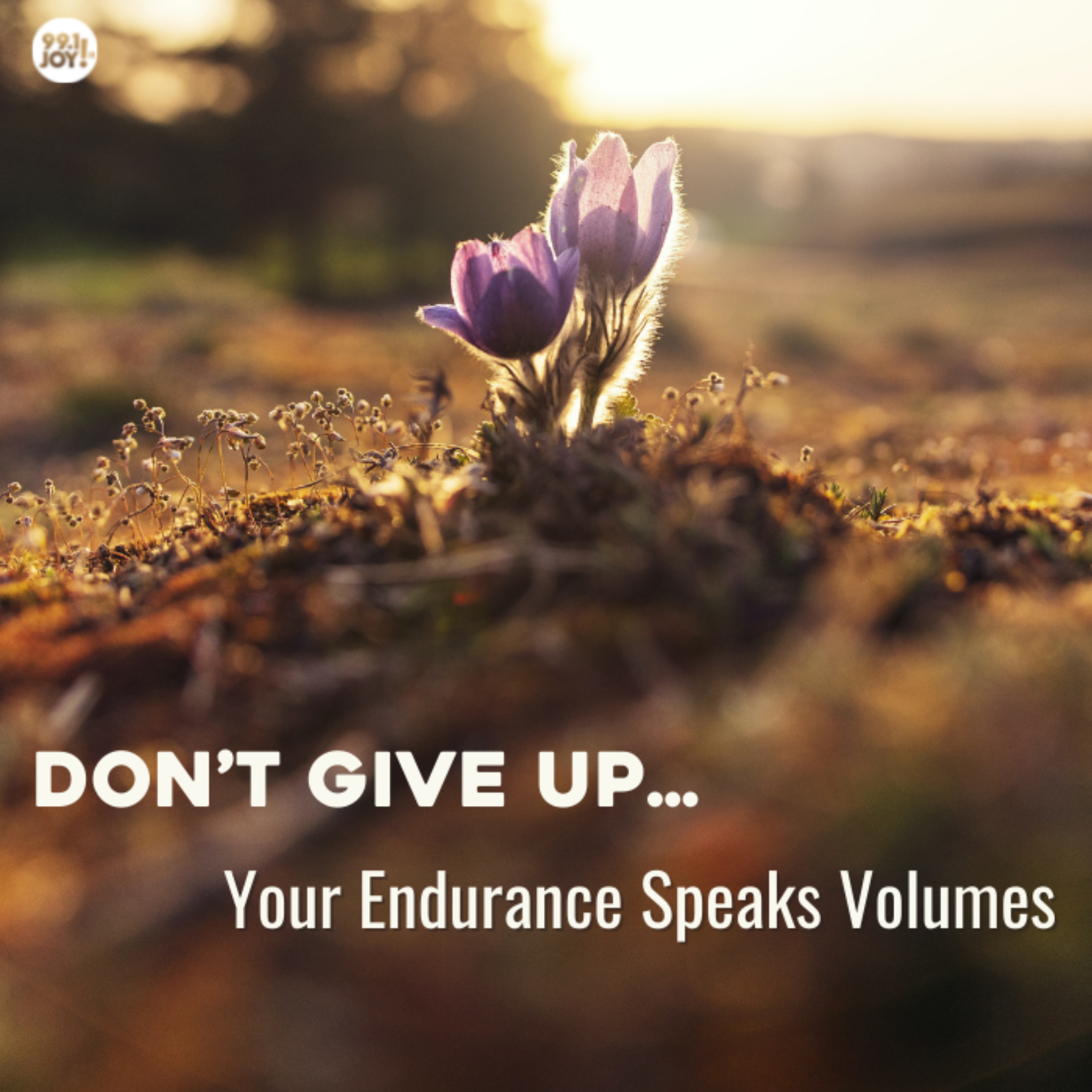 Don’t Give Up…Your Endurance Speaks Volumes