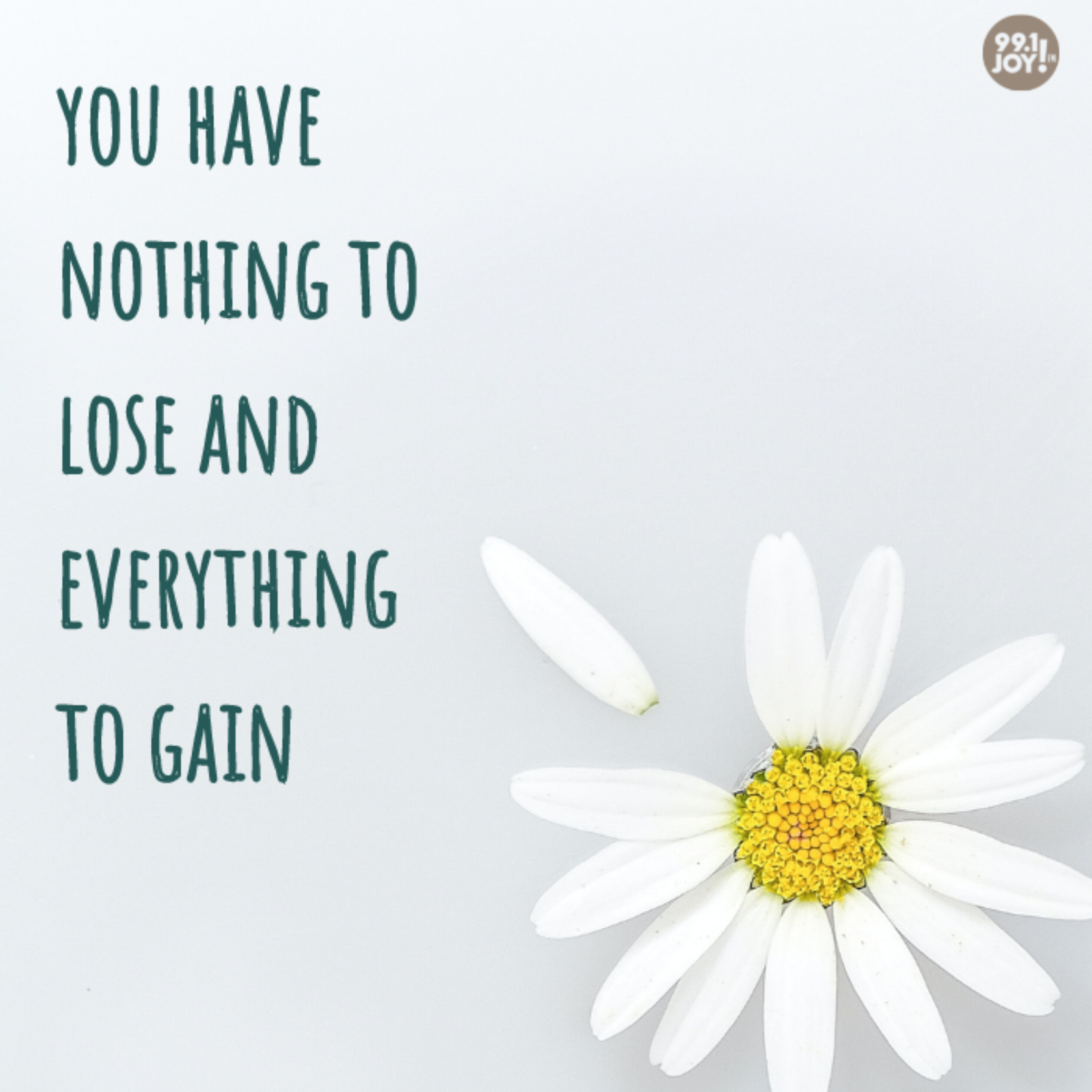You Have Nothing To Lose And Everything To Gain