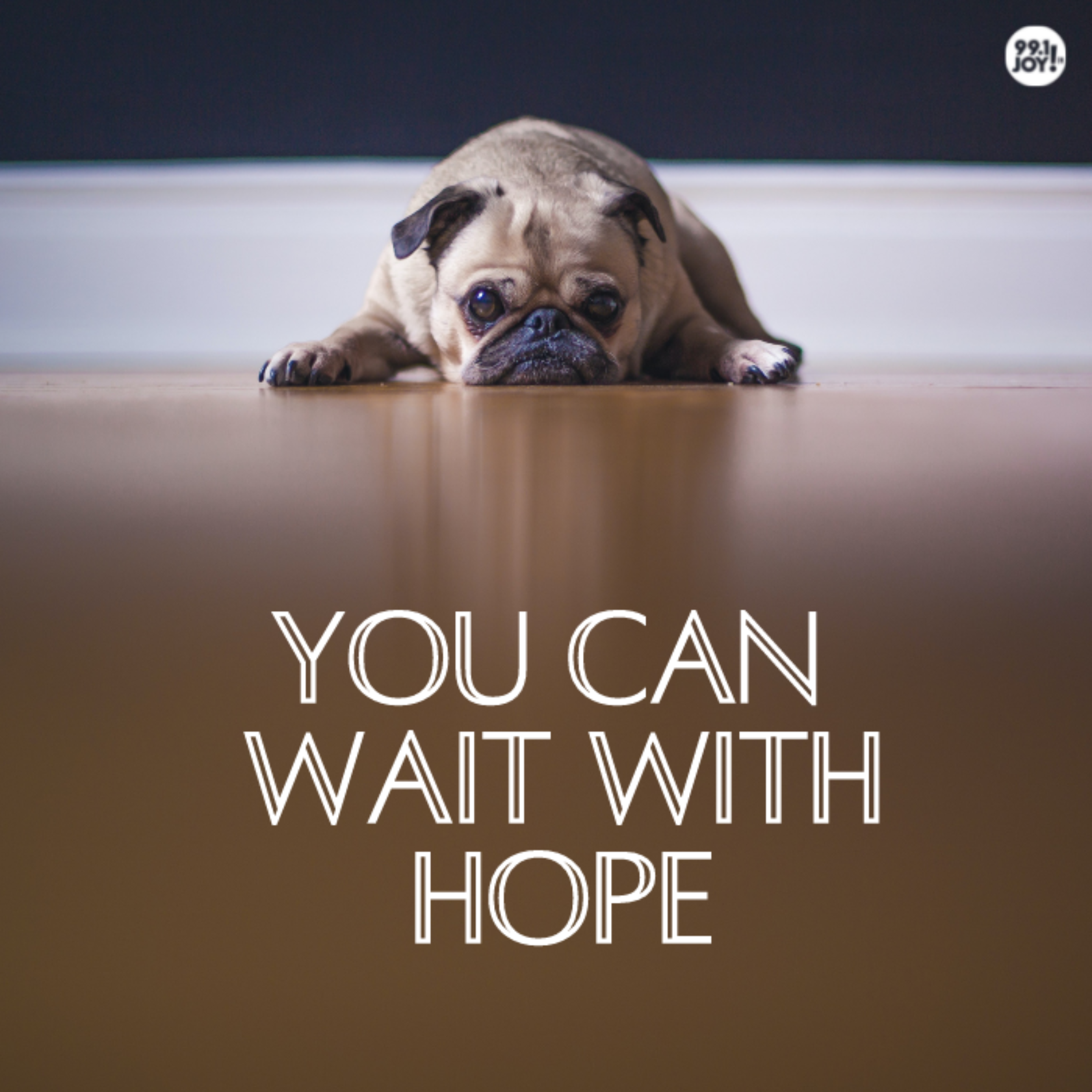 You Can Wait With Hope