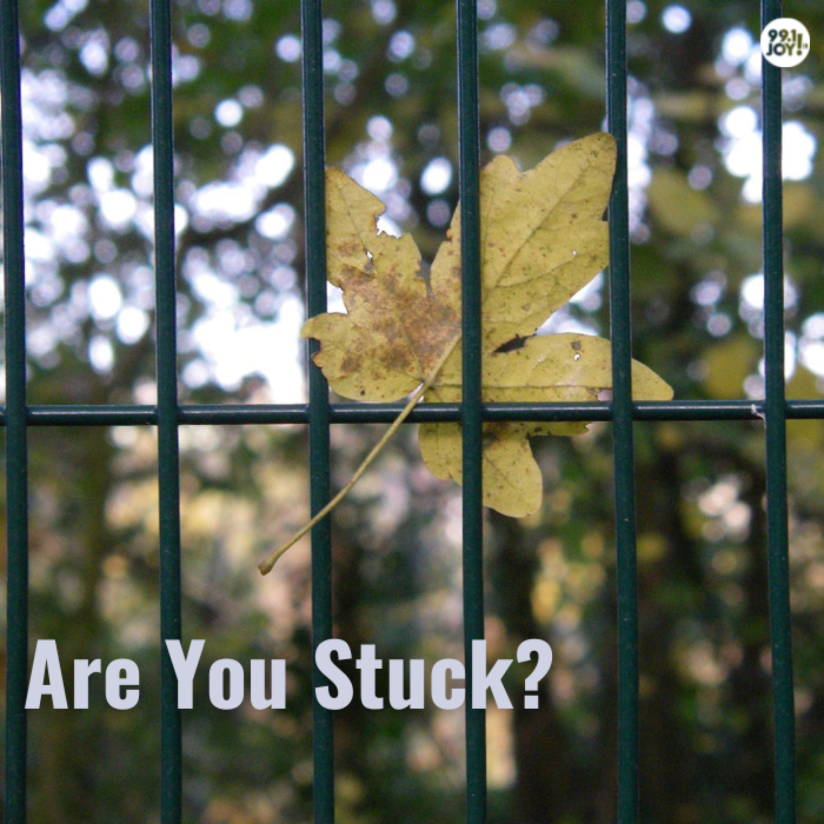 Are You Stuck?