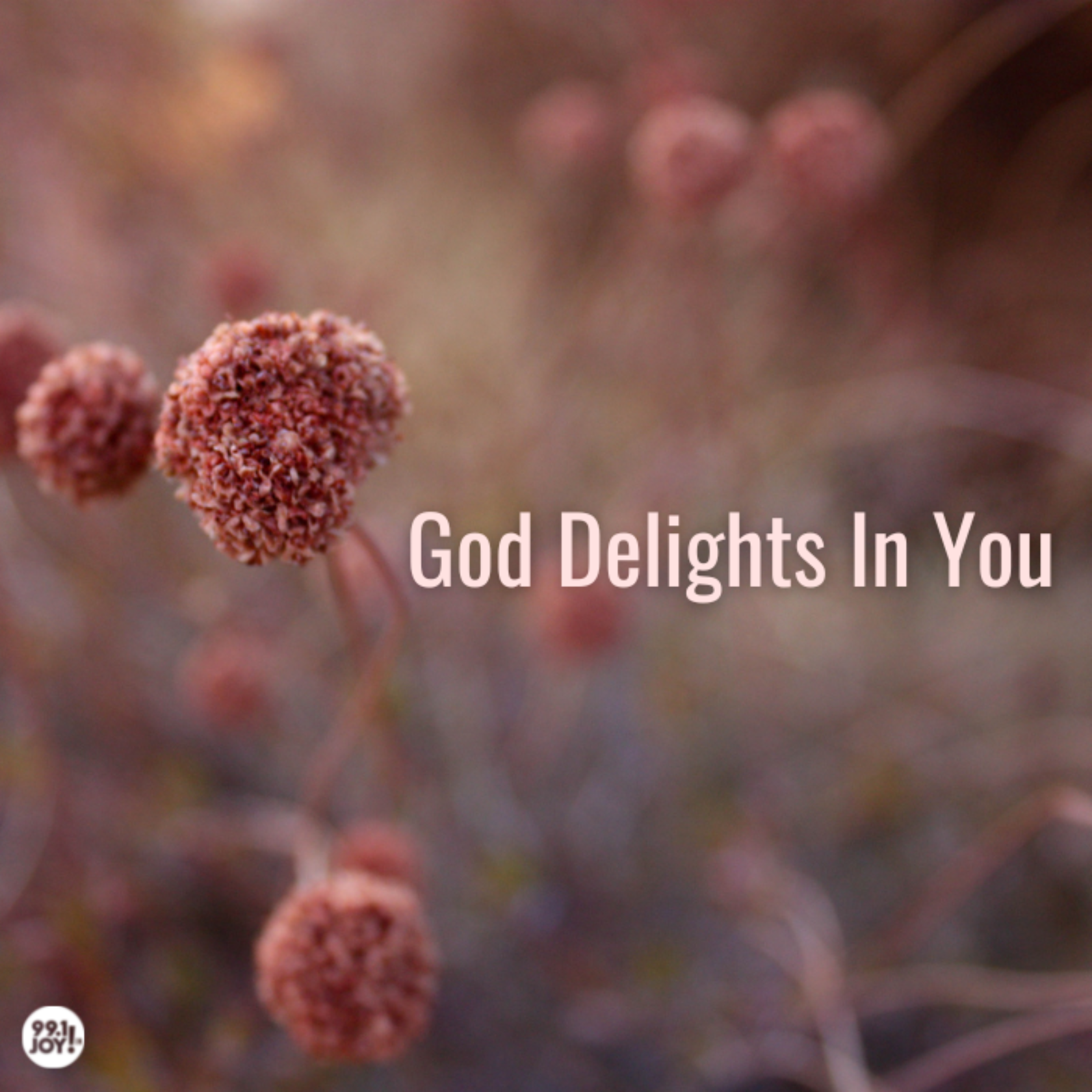 God Delights In You