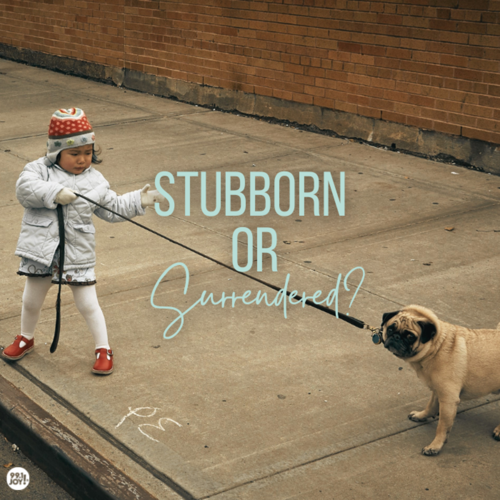 Stubborn or Surrendered?