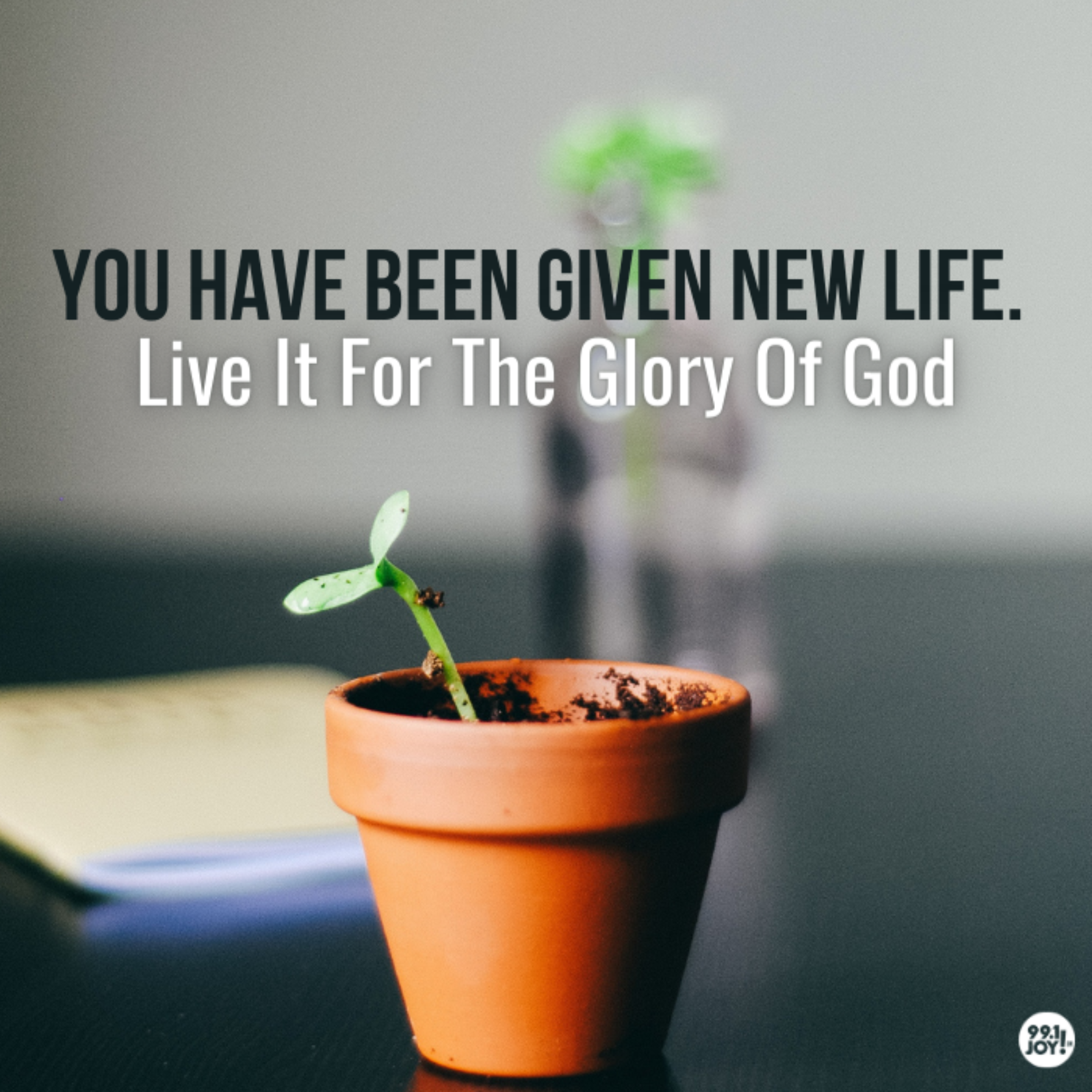 You Have Been Given New Life. Live It For The Glory Of God