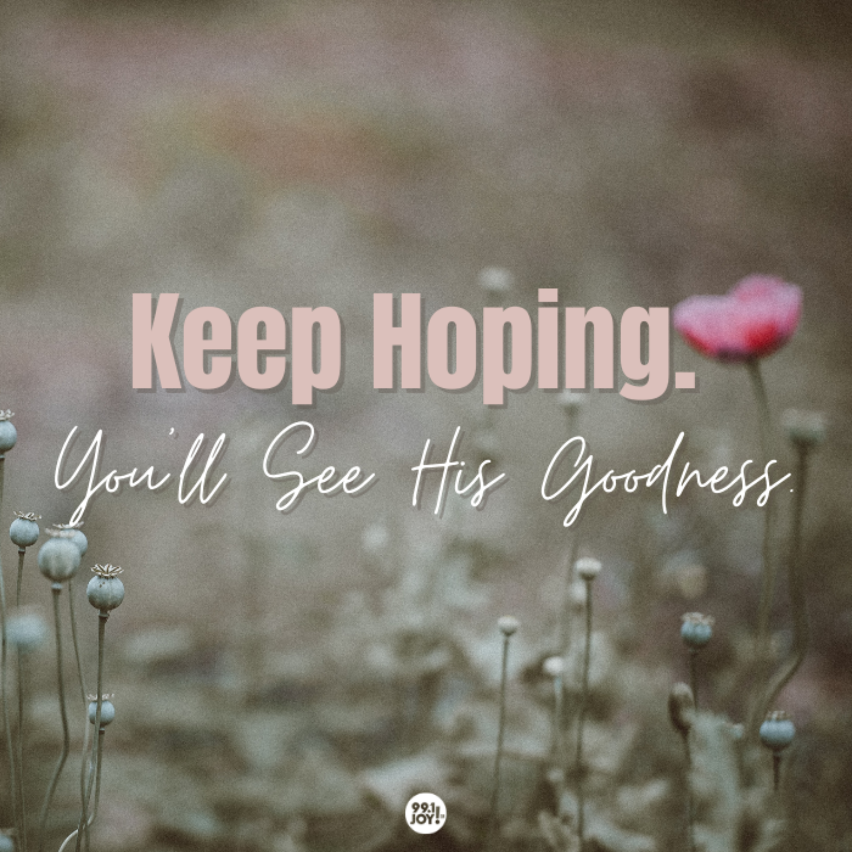 Keep Hoping. You’ll See His Goodness.