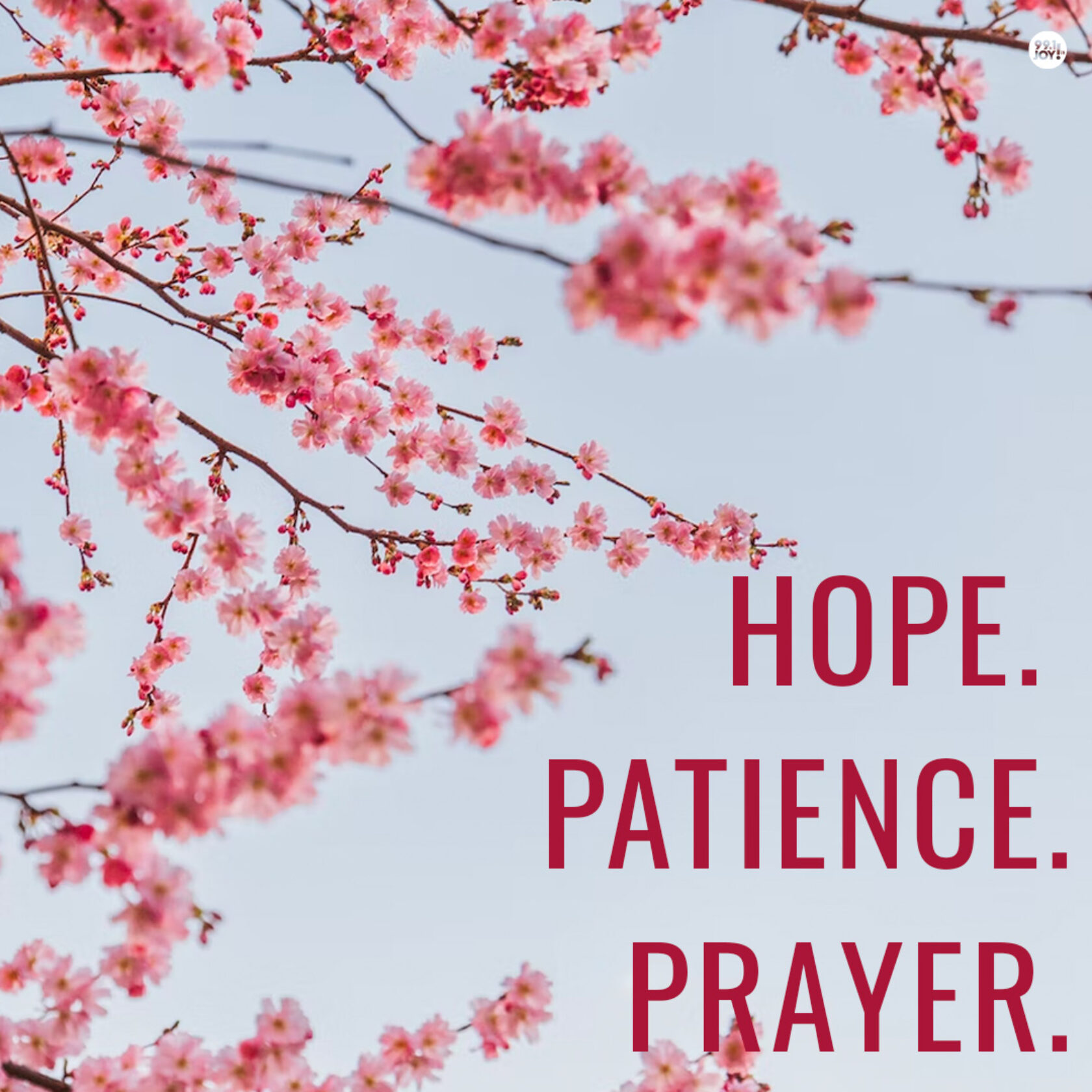 Hope.  Patience.  Prayer.