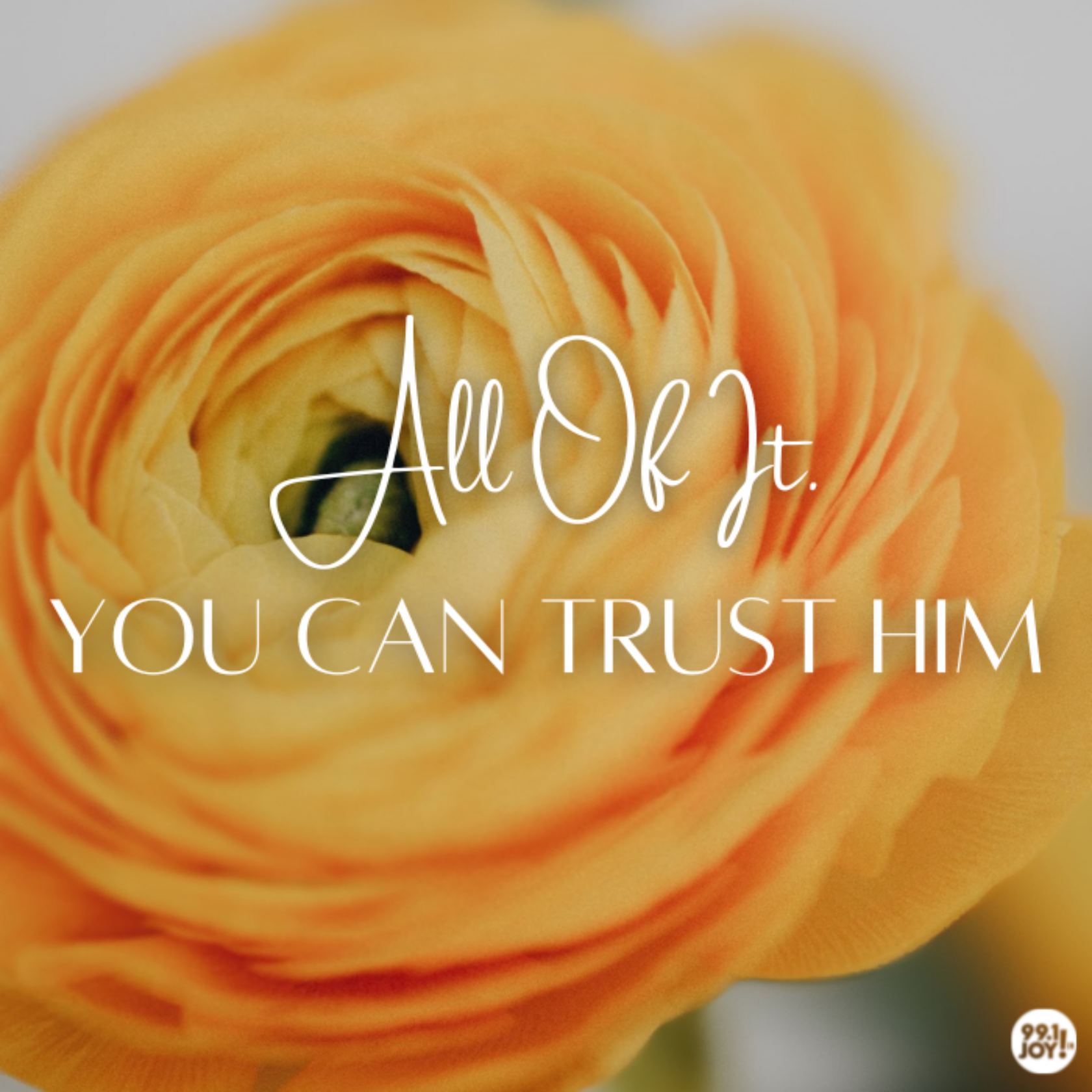 All Of It. You Can Trust Him