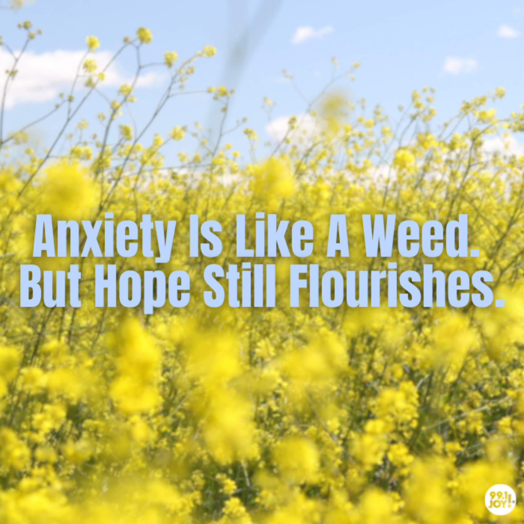 Anxiety Is Like A Weed. But Hope Still Flourishes