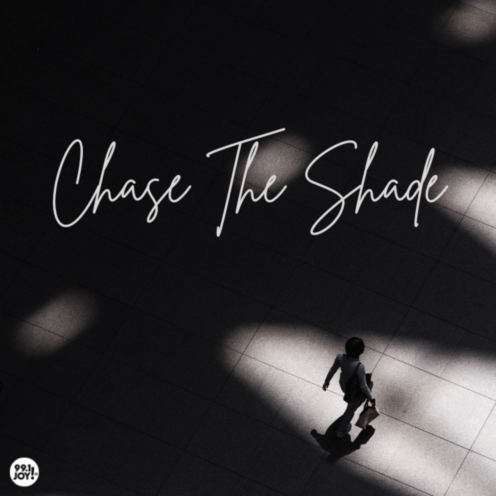 Chase The Shade