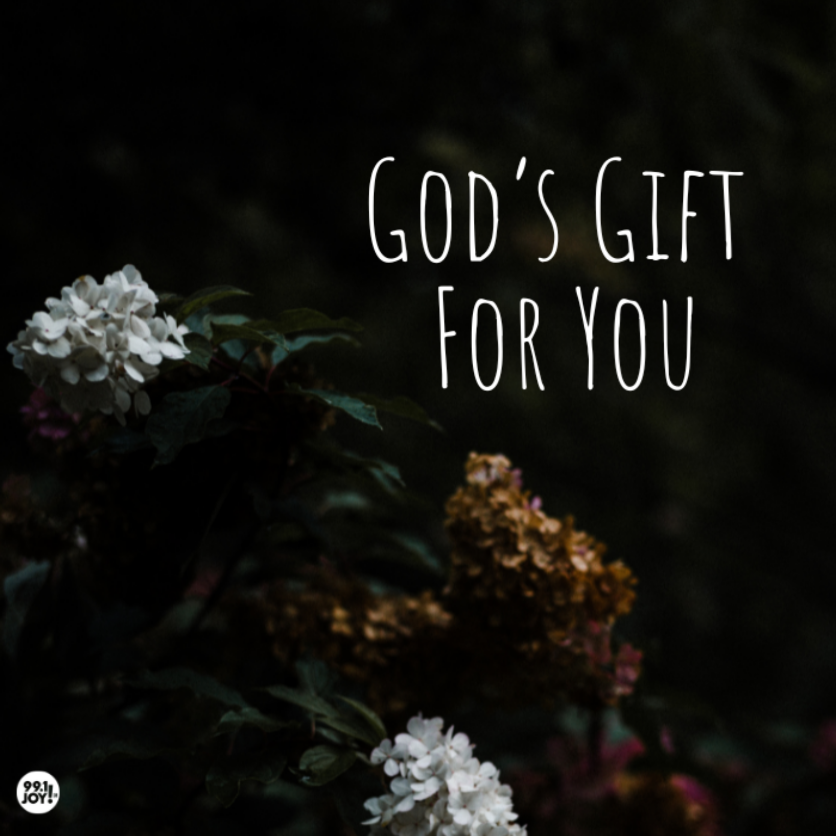 God’s Gift For You