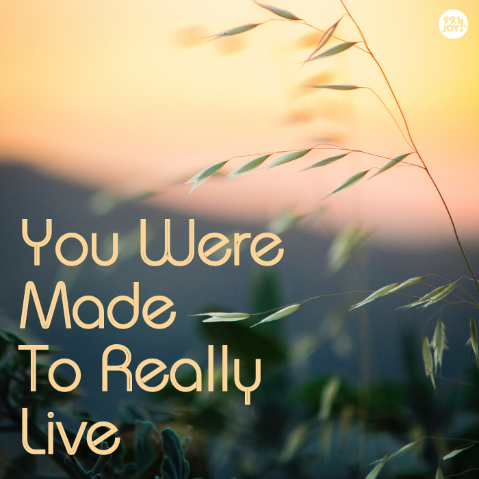 You Were Made To Really Live