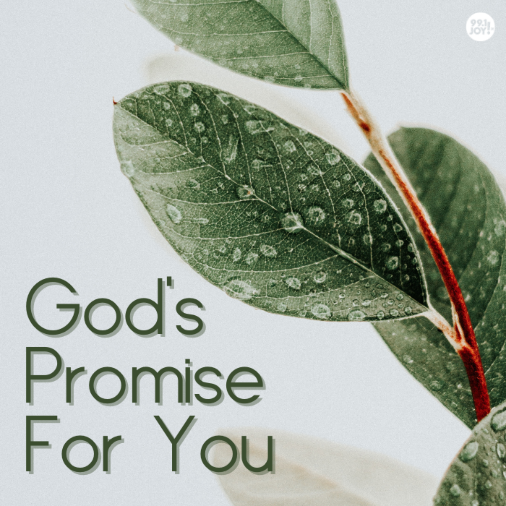 God’s Promise For You