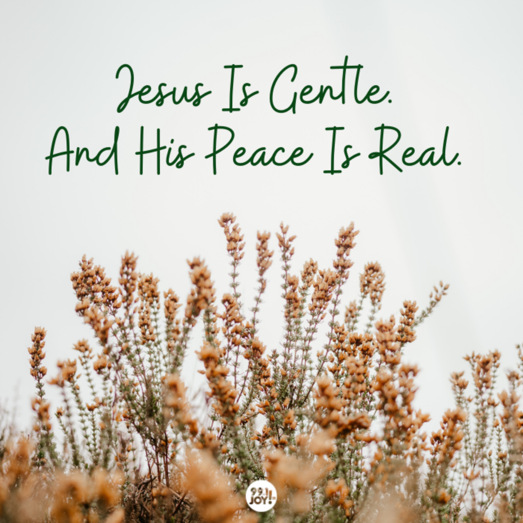 Jesus Is Gentle. And His Peace Is Real. 