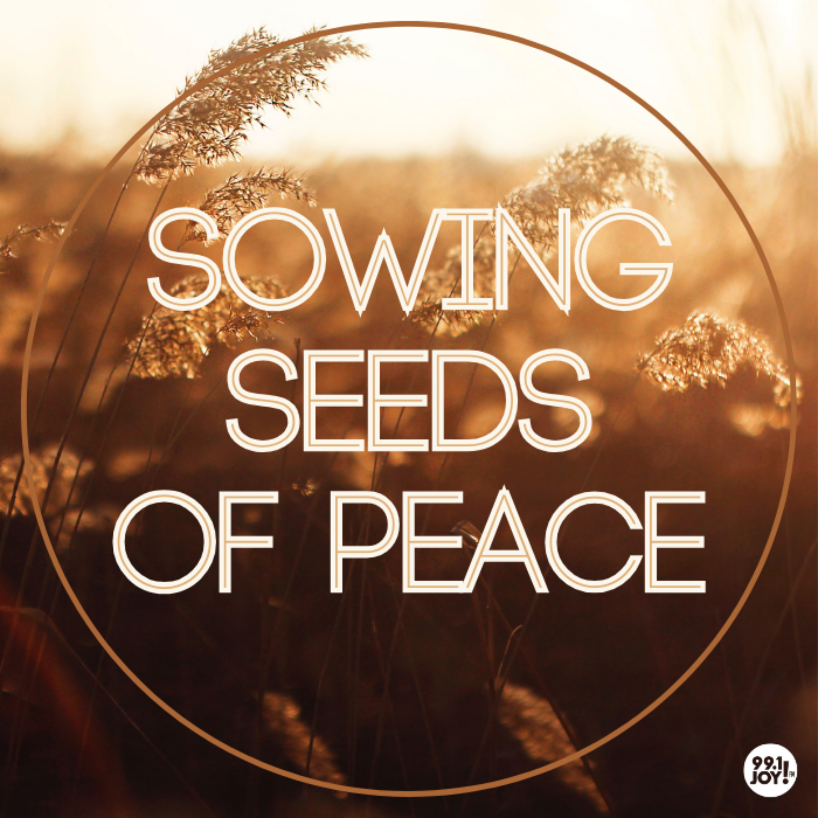 Sowing Seeds Of Peace