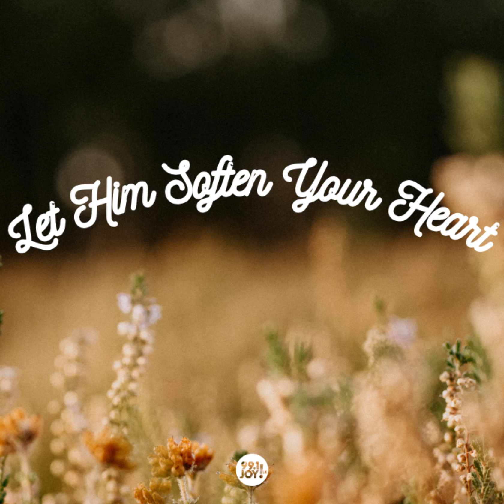 Let Him Soften Your Heart