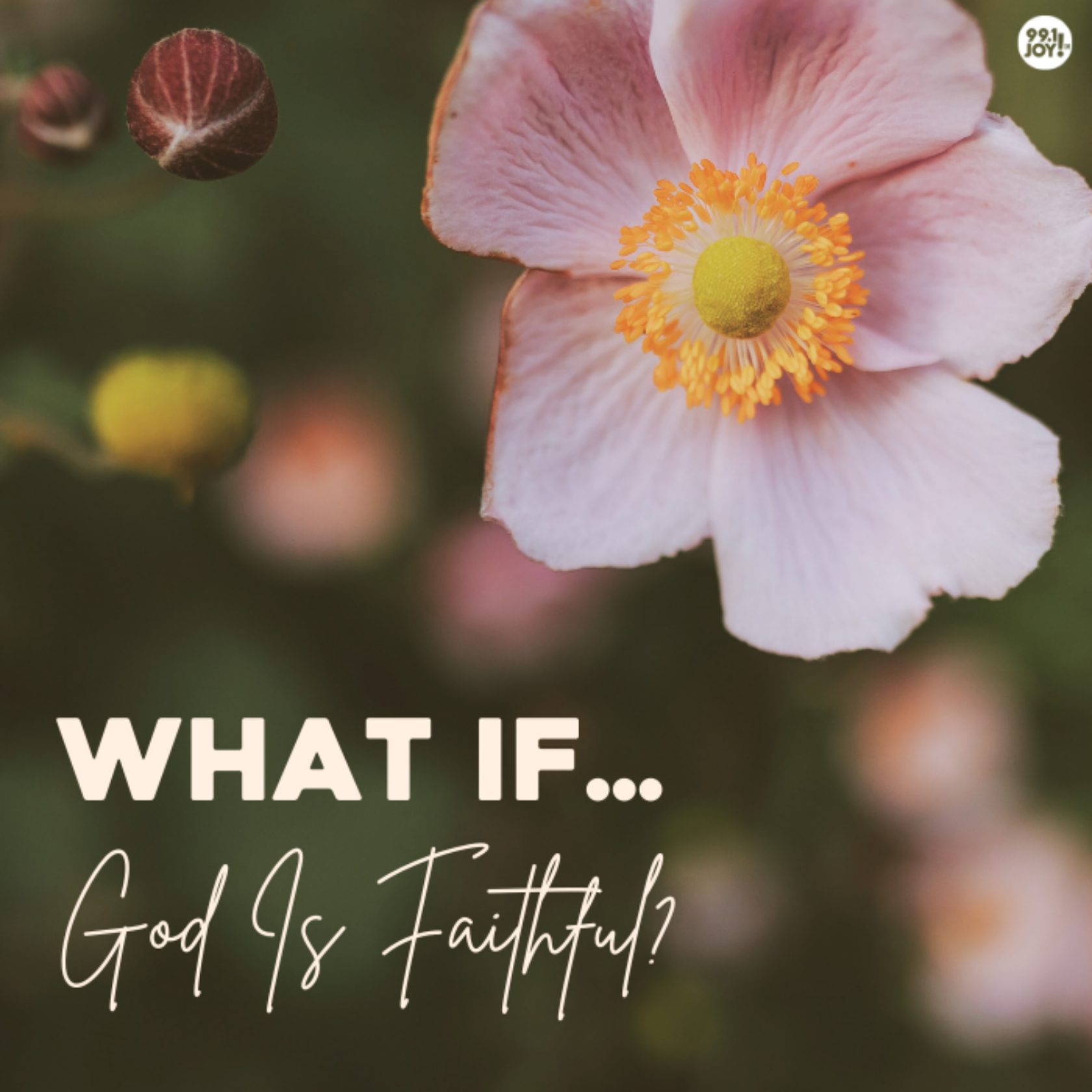 What If….God Is Faithful?
