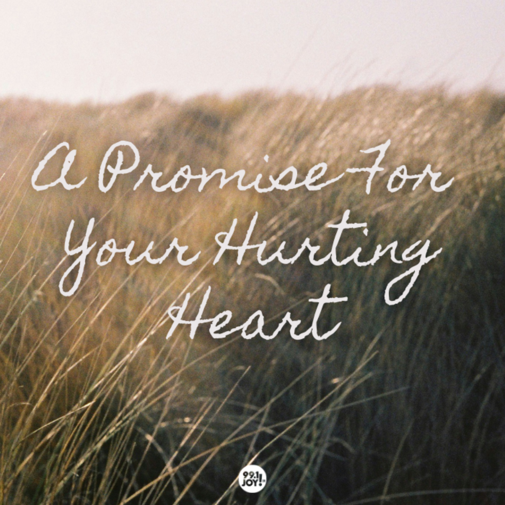 A Promise For Your Hurting Heart