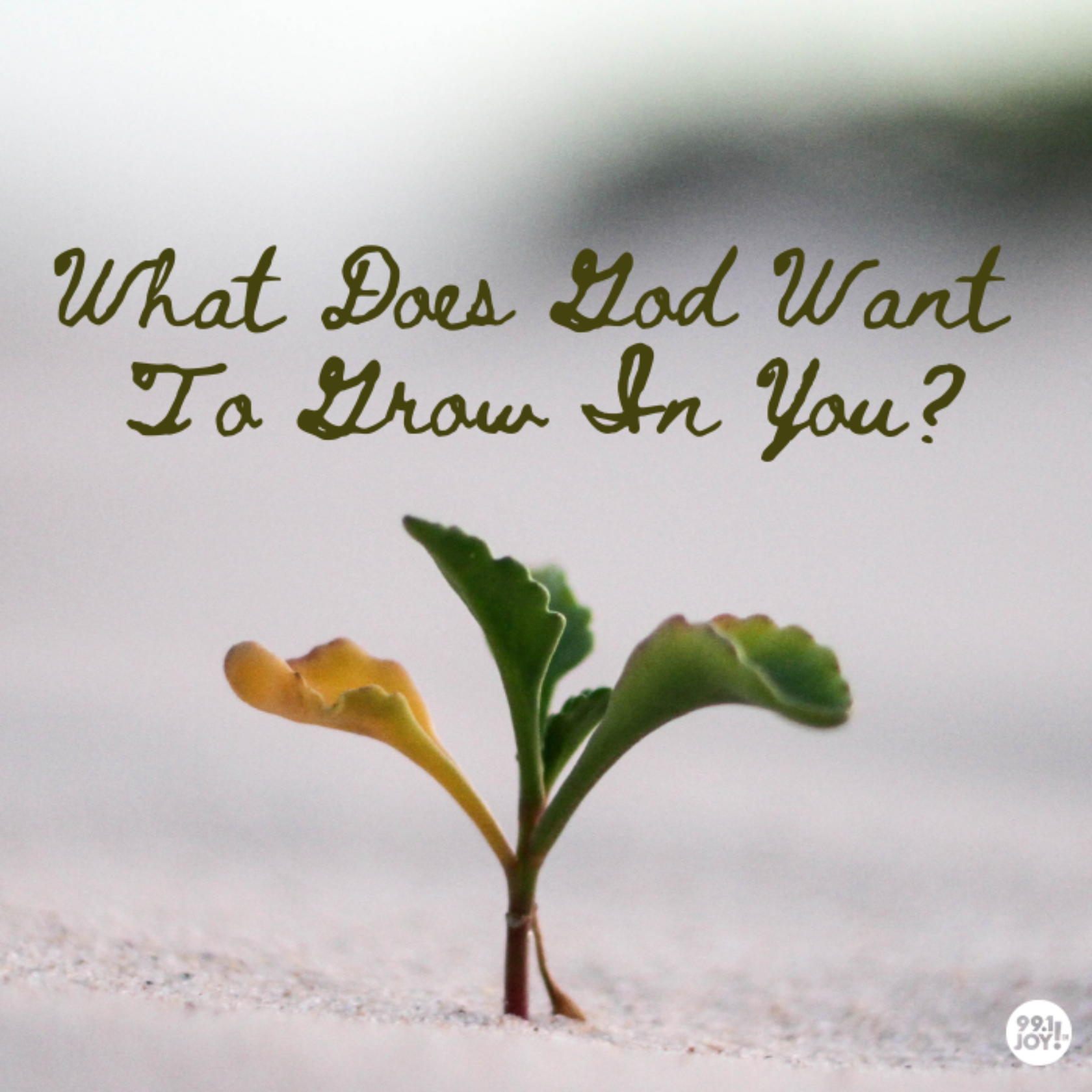 What Does God Want To Grow In You?