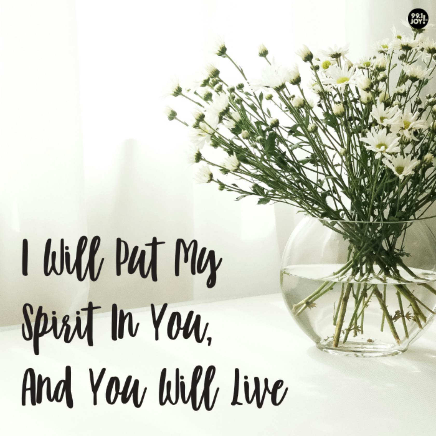 I Will Put My Spirit In You, And You Will Live