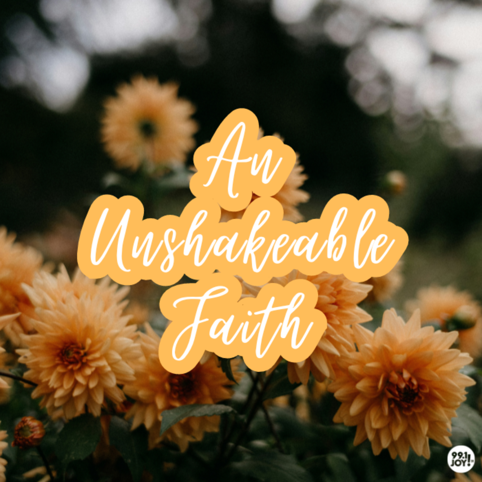 An Unshakeable Faith