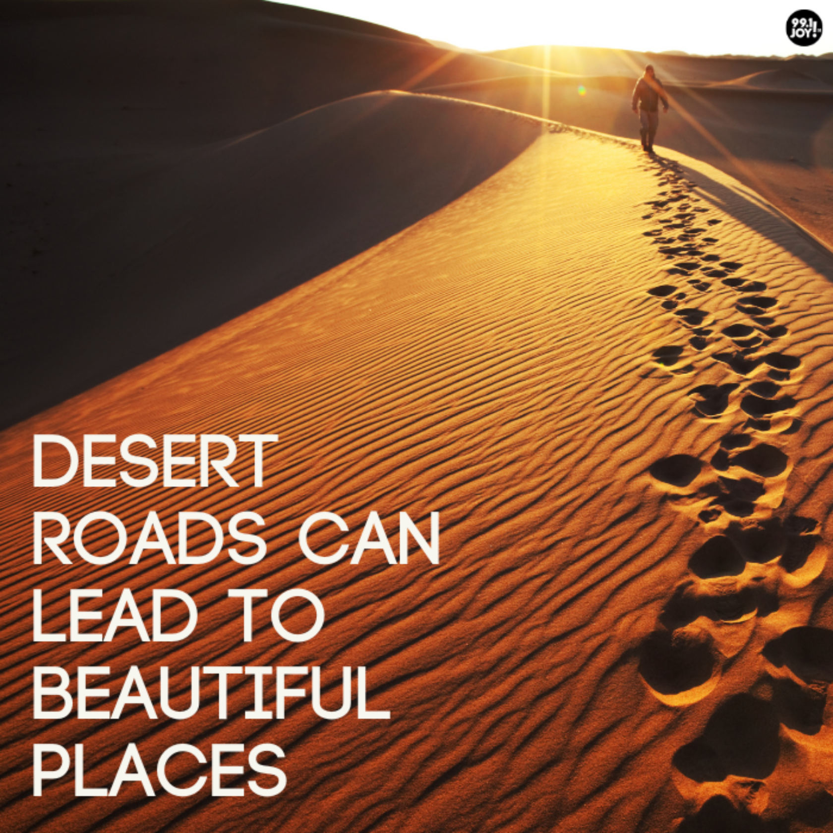 Desert Roads Can Lead To Beautiful Places