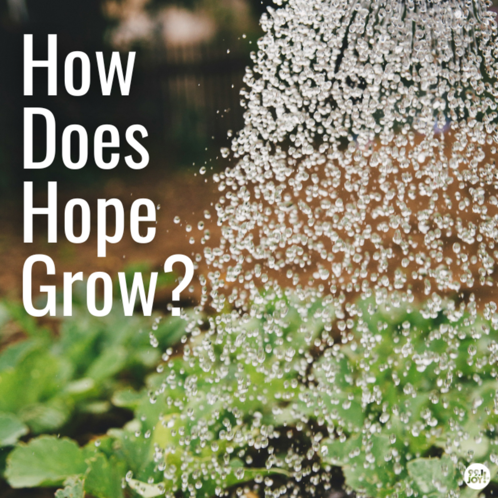 How Does Hope Grow?