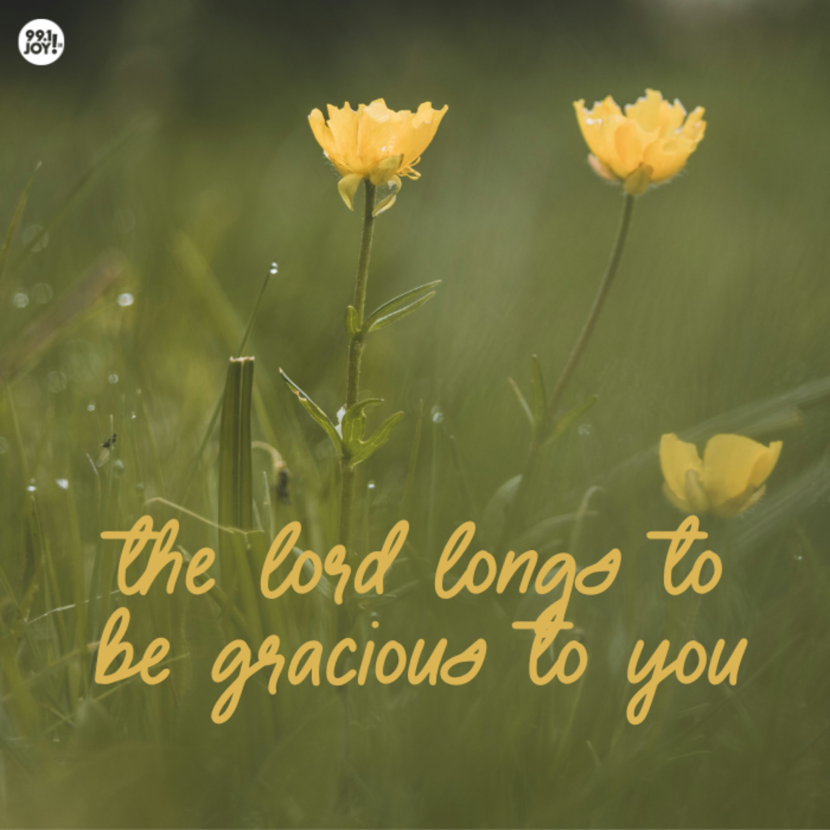 The Lord Longs To Be Gracious To You