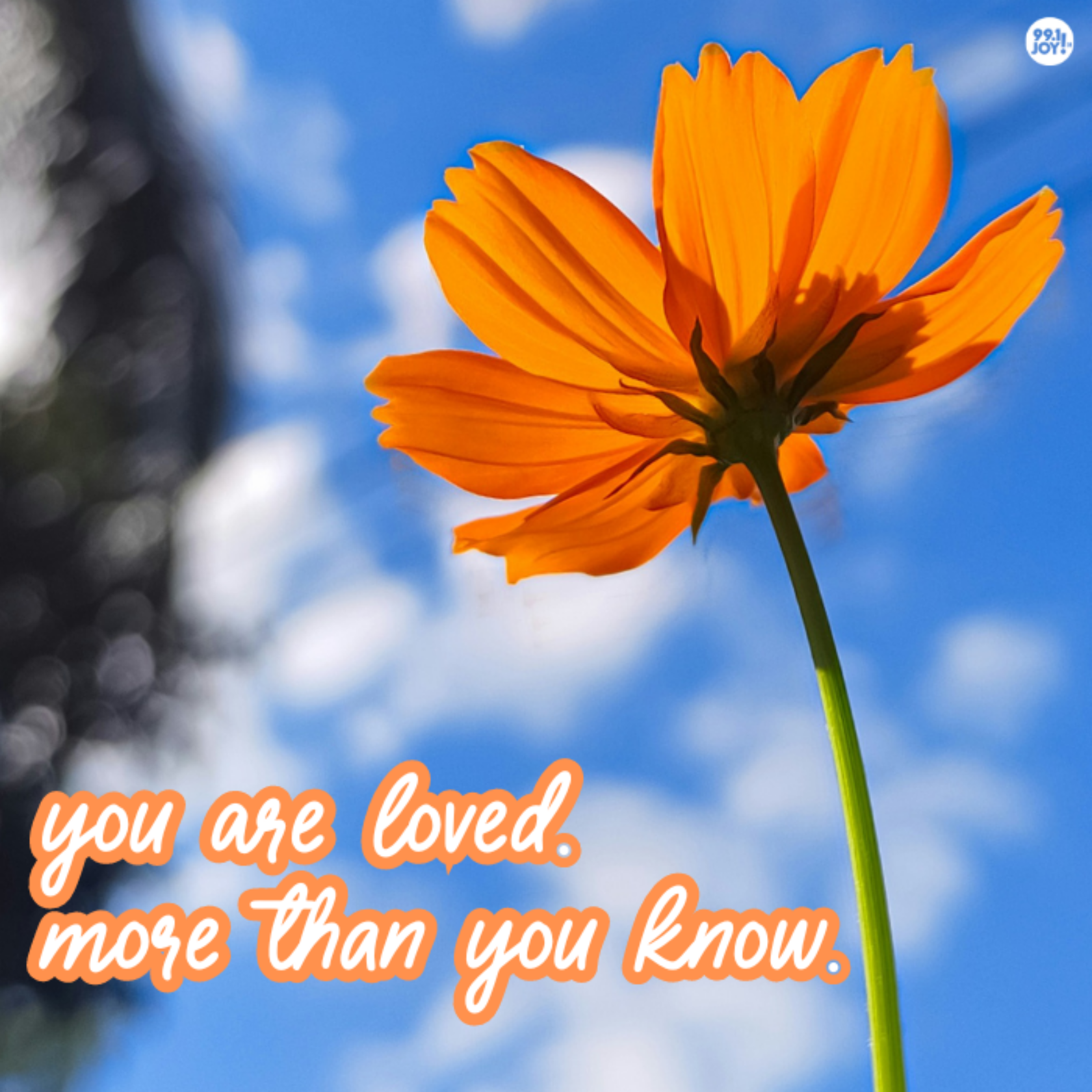You Are Loved. More Than You Know.